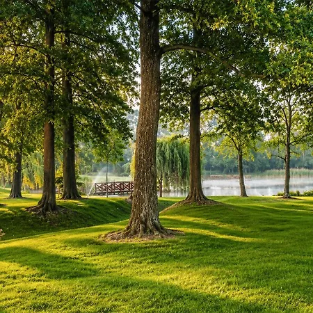 Nice Home In Pepowo With Lake View Pepowo (Pomerania)
